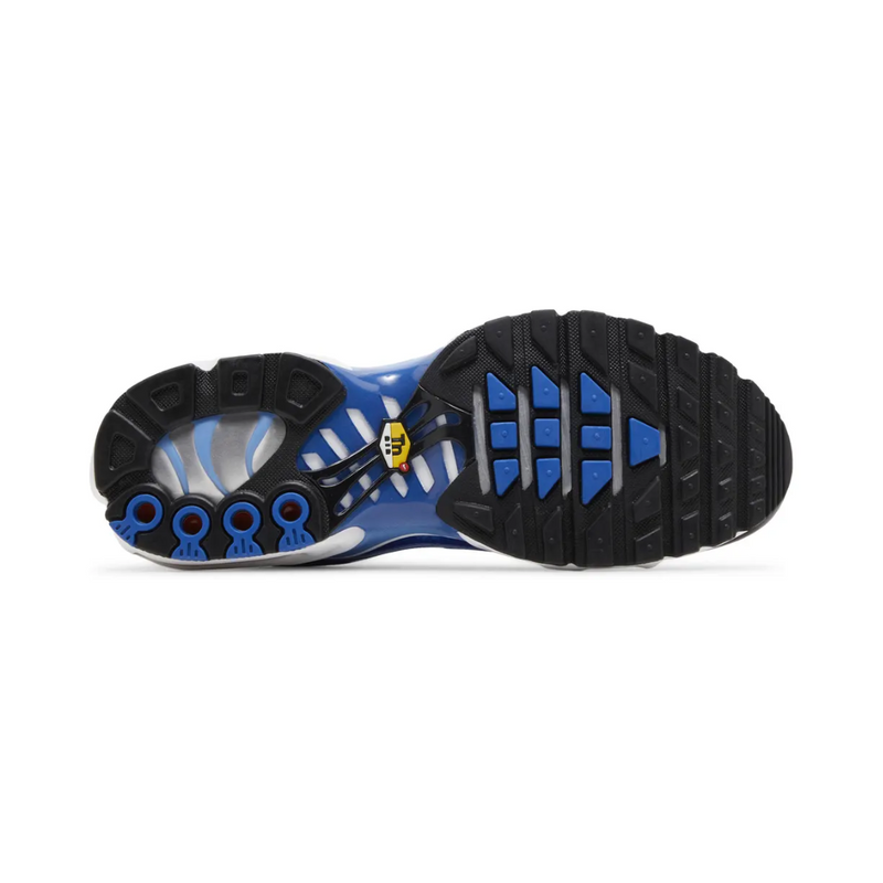 Air Max TN Plus "Light Photography Old Royal"