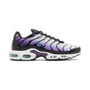 Air Max TN Plus "Reverse Grape"