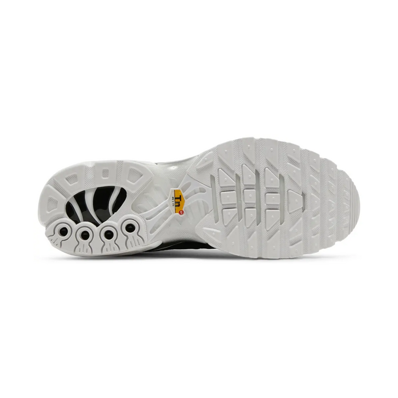 Air Max TN Plus "Black White"